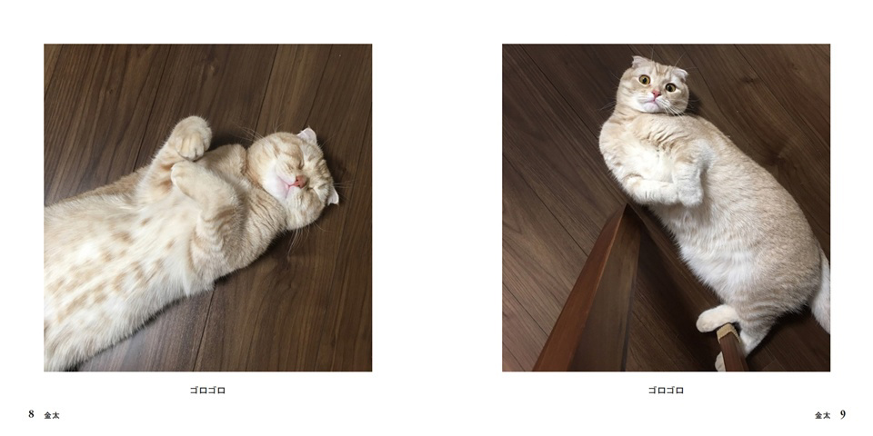 フォトブック 8ページ目
