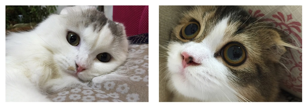 フォトブック 10ページ目