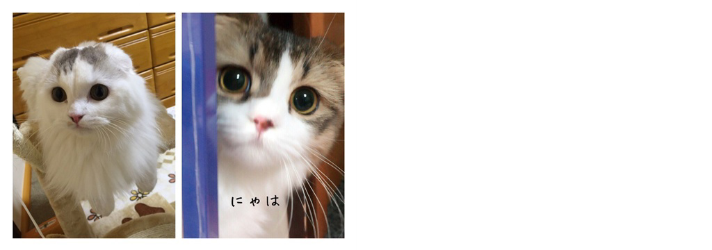 フォトブック 14ページ目