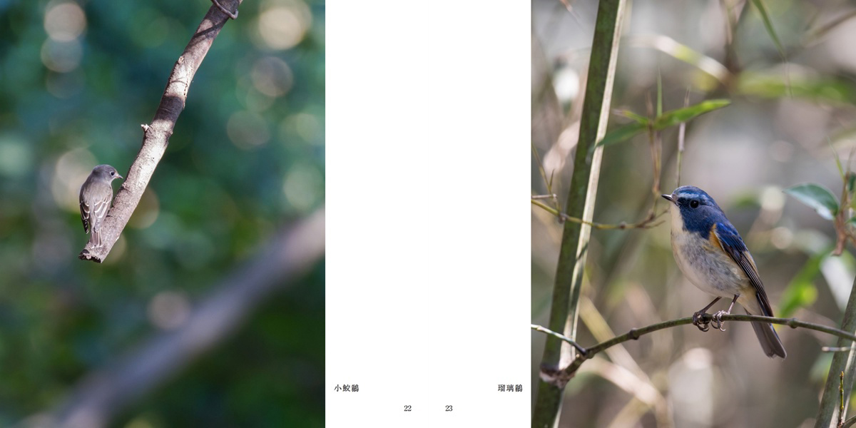 フォトブック 22ページ目