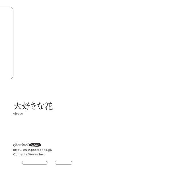 フォトブック ジャケット裏