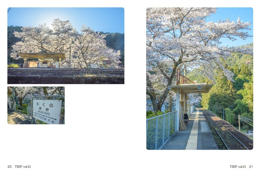 フォトブック 20ページ目