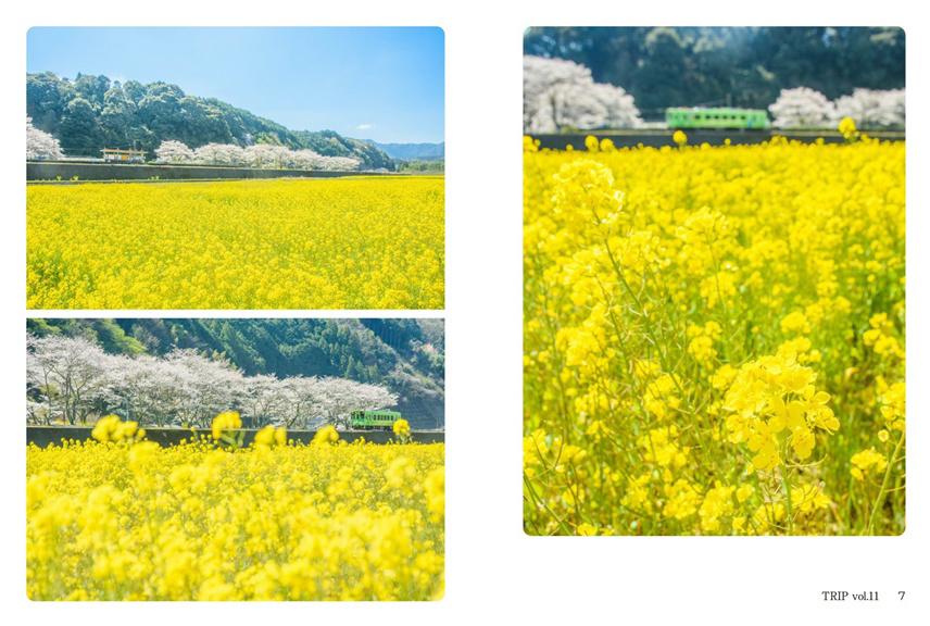 フォトブック 6ページ目