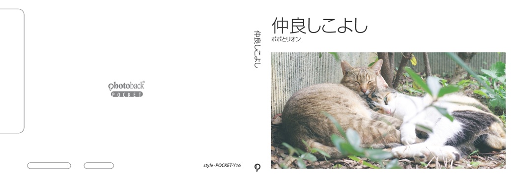 フォトブック ジャケット