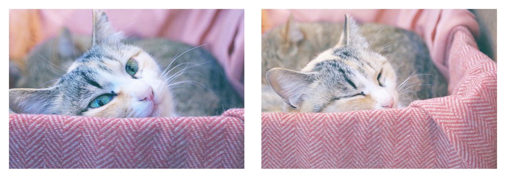 フォトブック 12ページ目