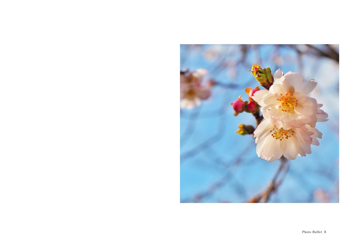 フォトブック 2ページ目