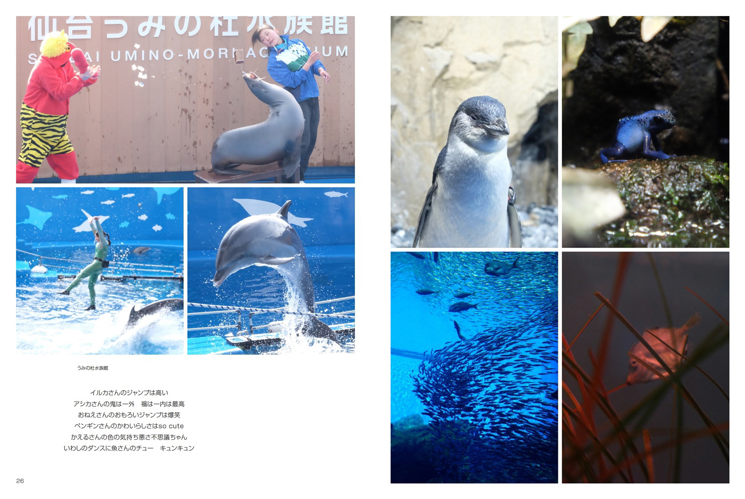 フォトブック 26ページ目