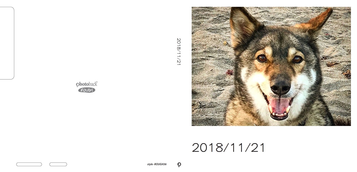 フォトブック ジャケット