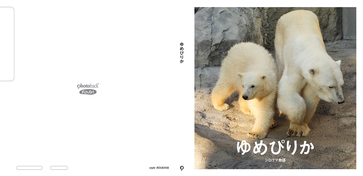 フォトブック ジャケット