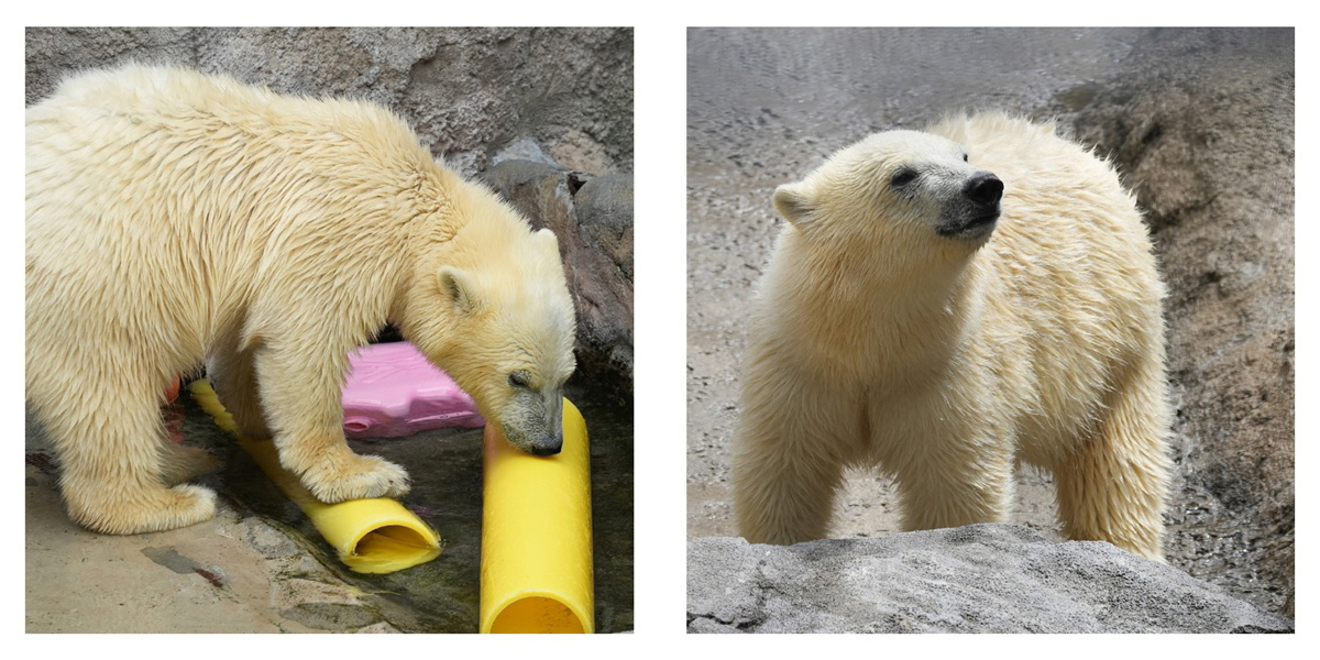 フォトブック 10ページ目