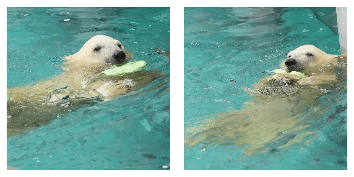 フォトブック 12ページ目