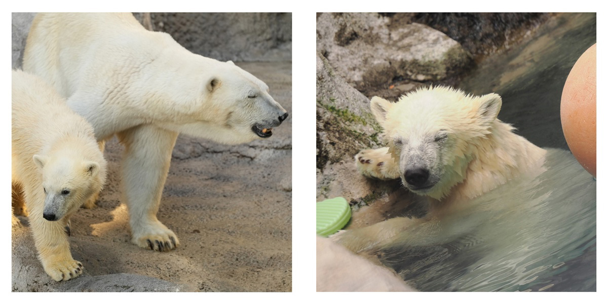 フォトブック 14ページ目