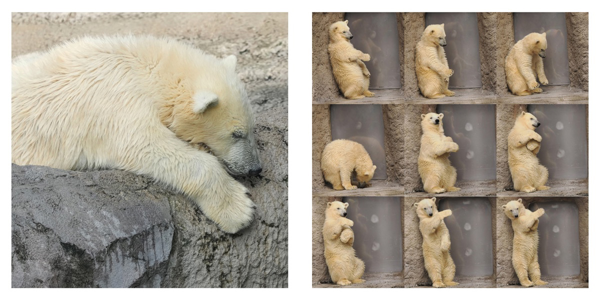 フォトブック 16ページ目