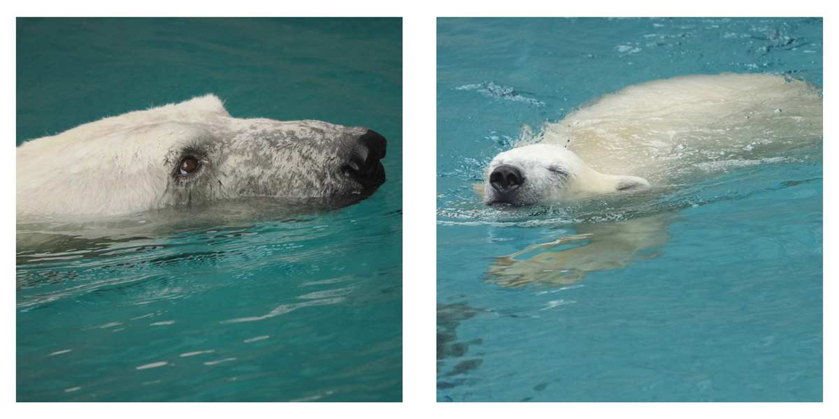 フォトブック 18ページ目