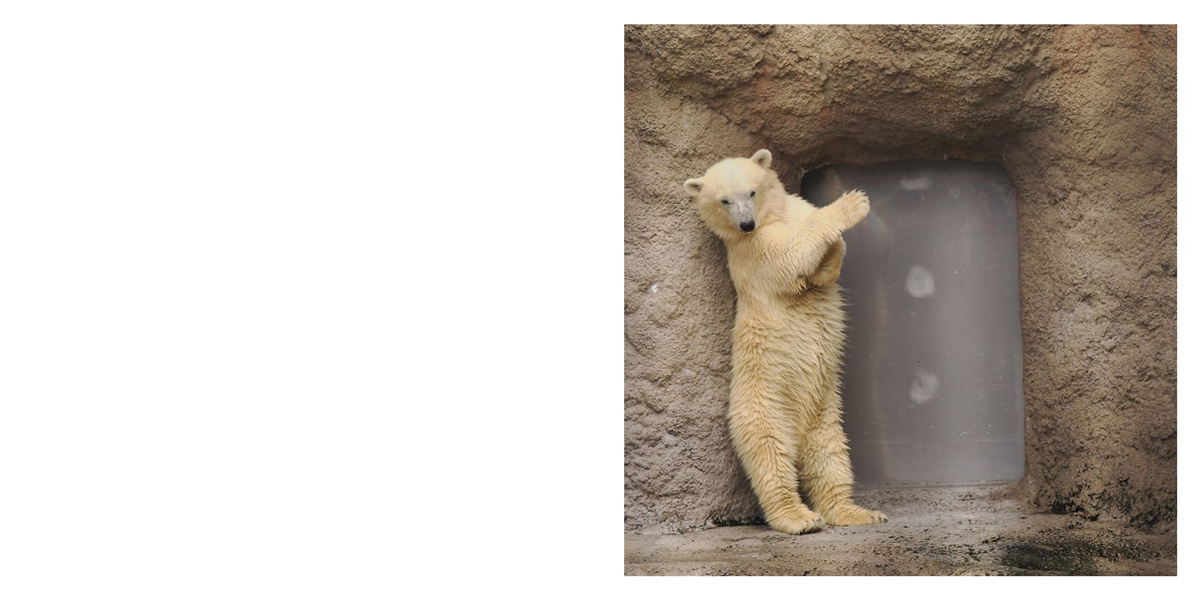 フォトブック 2ページ目