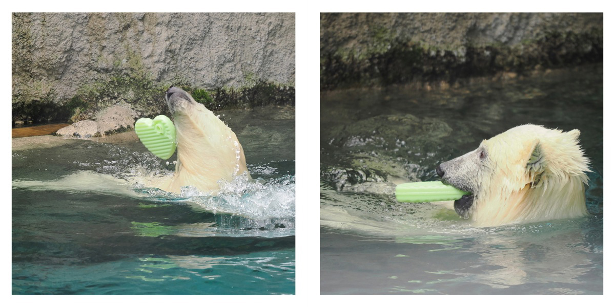 フォトブック 20ページ目