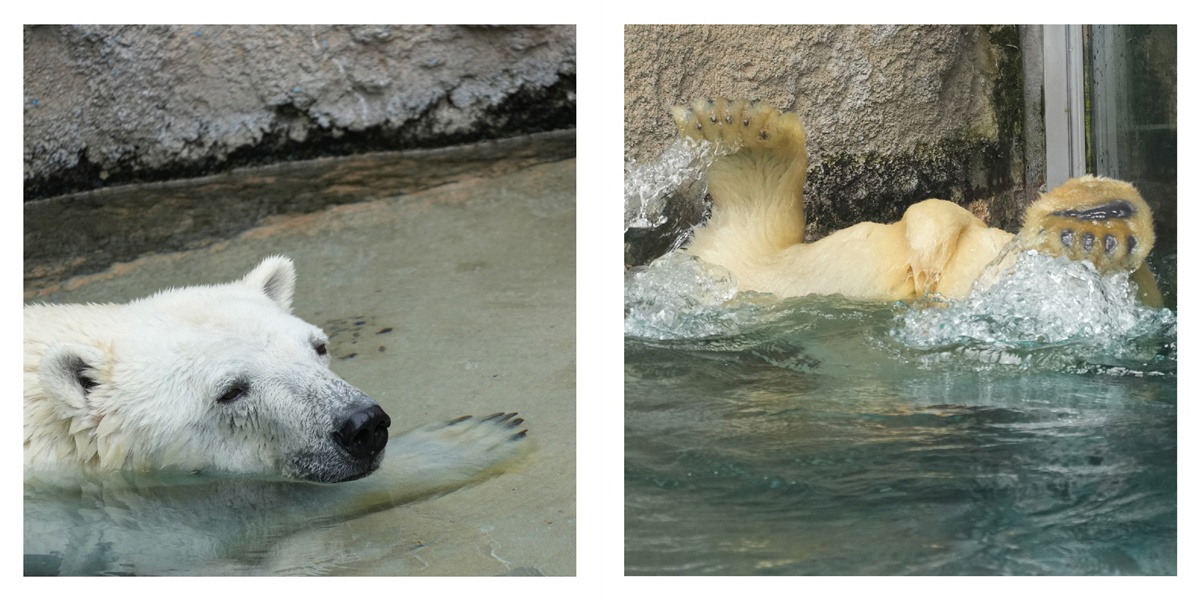 フォトブック 22ページ目