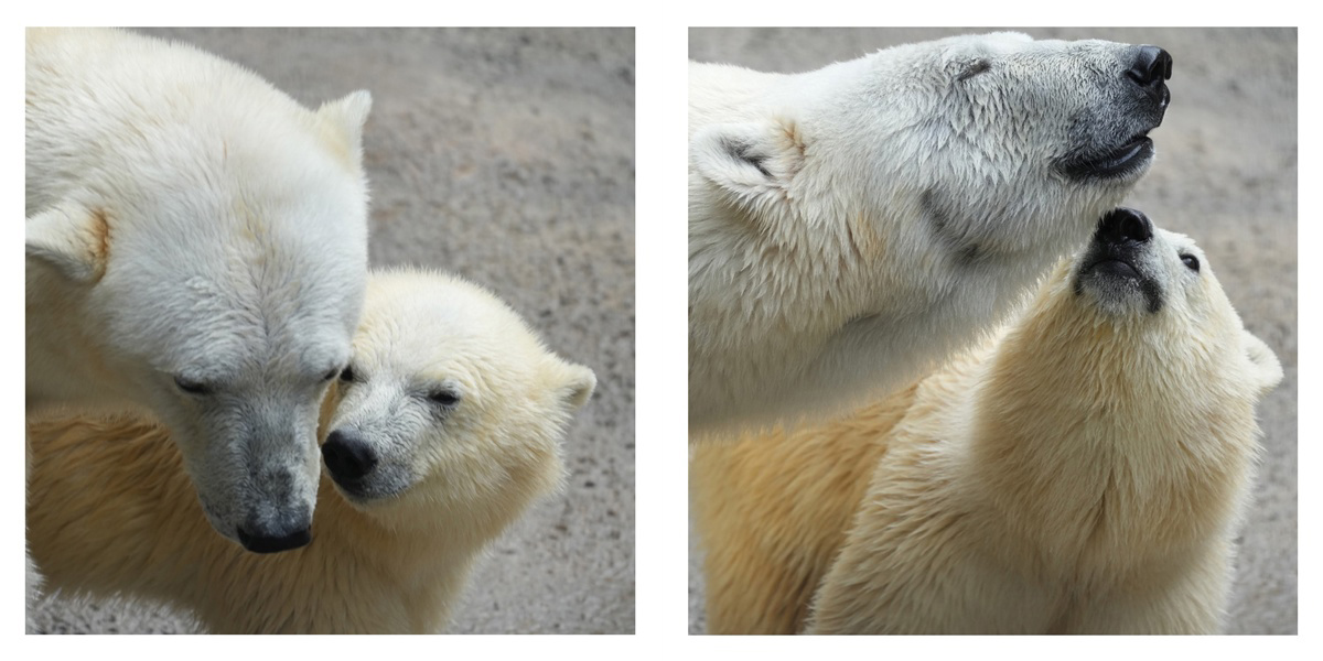 フォトブック 24ページ目