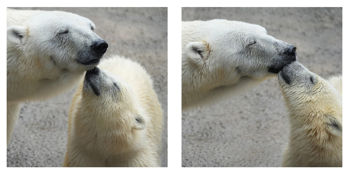 フォトブック 26ページ目