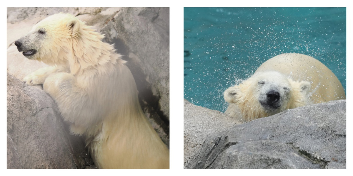 フォトブック 28ページ目