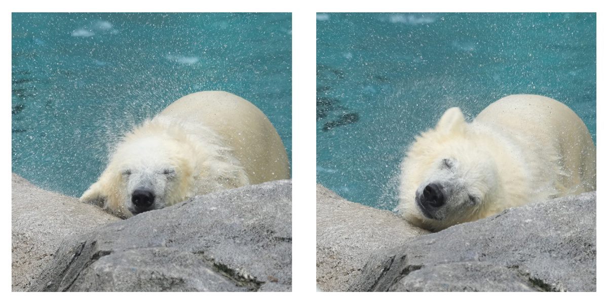 フォトブック 30ページ目