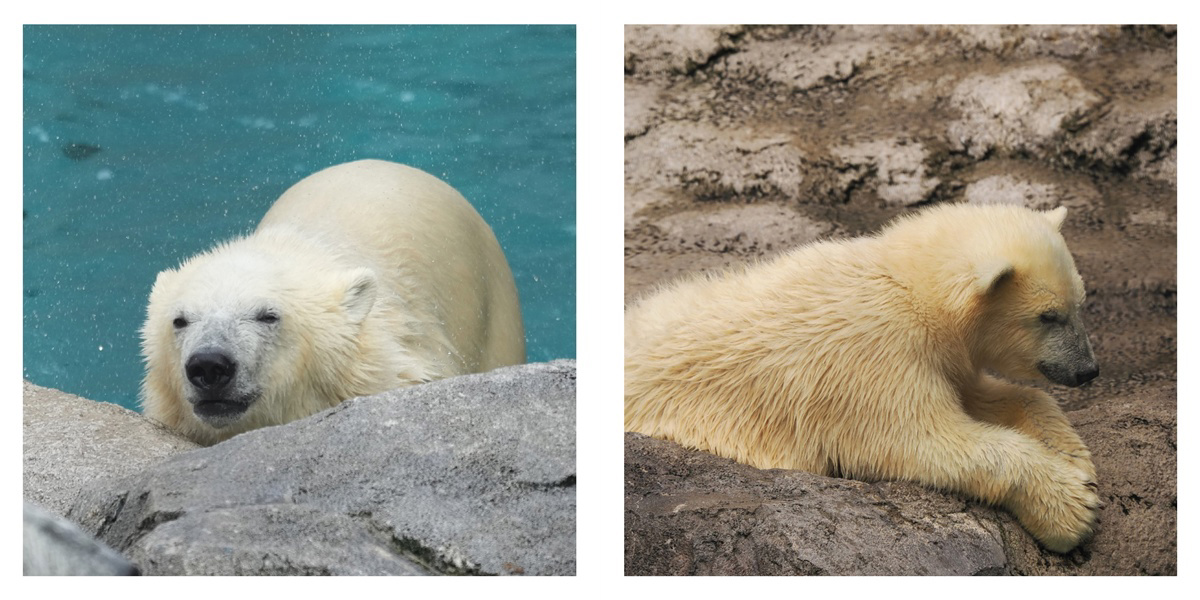 フォトブック 32ページ目