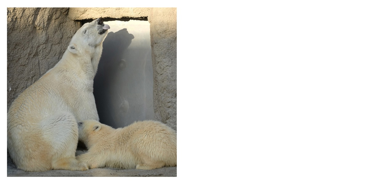 フォトブック 34ページ目