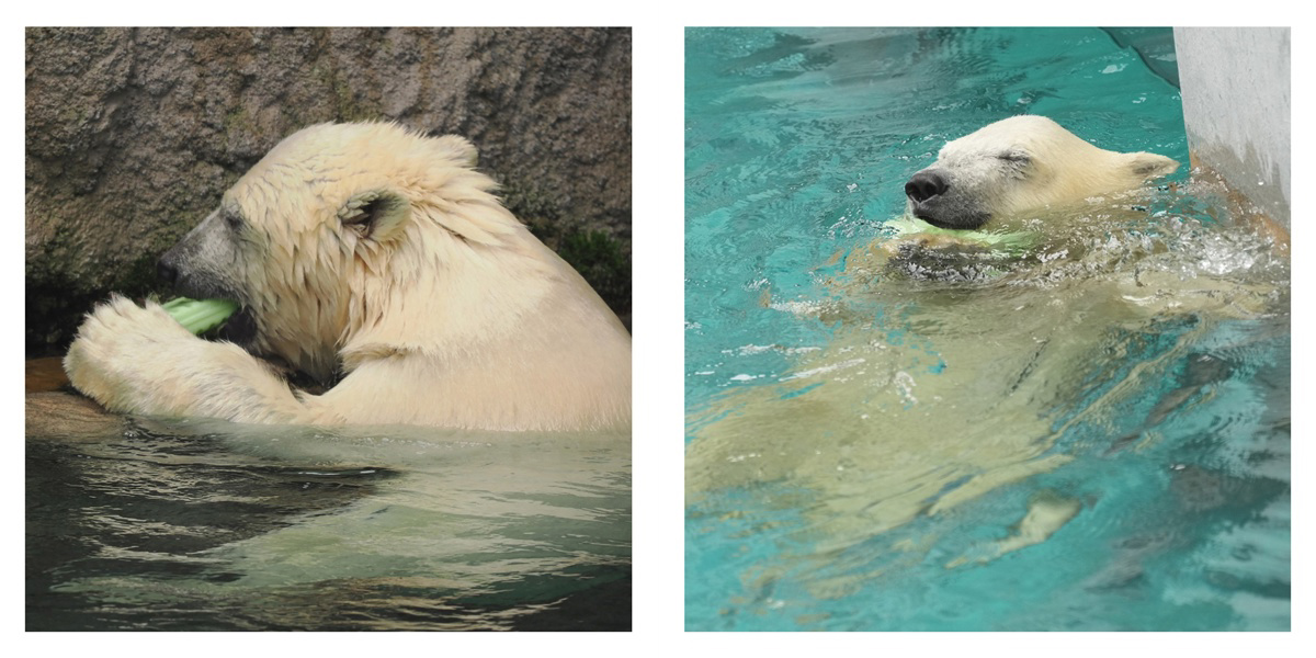 フォトブック 4ページ目