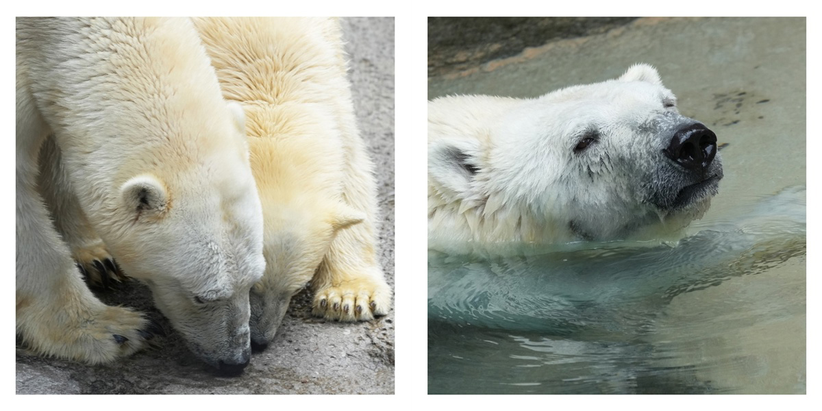 フォトブック 6ページ目