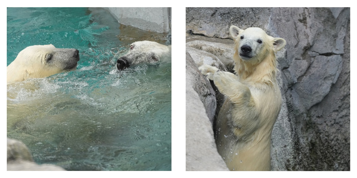 フォトブック 8ページ目