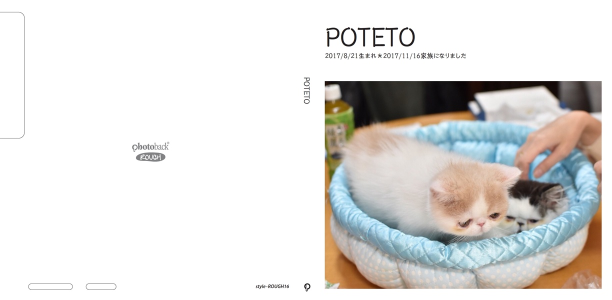 フォトブック ジャケット