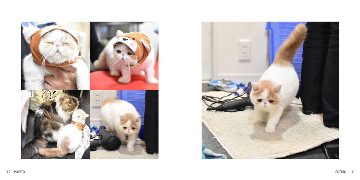 フォトブック 10ページ目