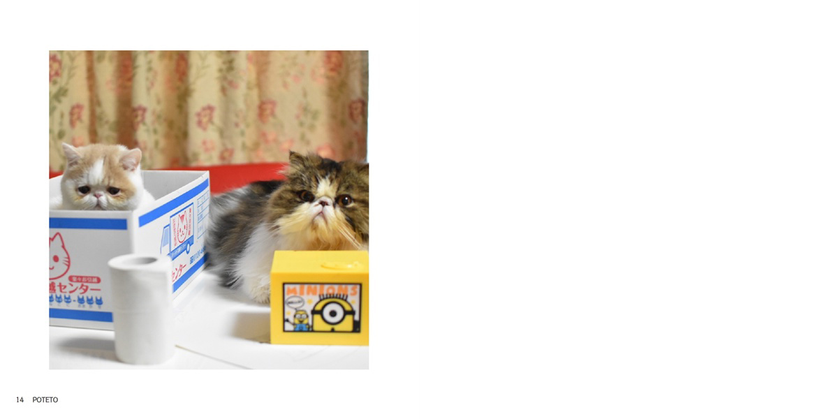 フォトブック 14ページ目