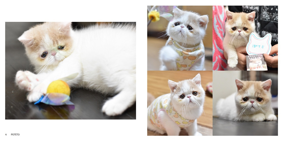 フォトブック 4ページ目