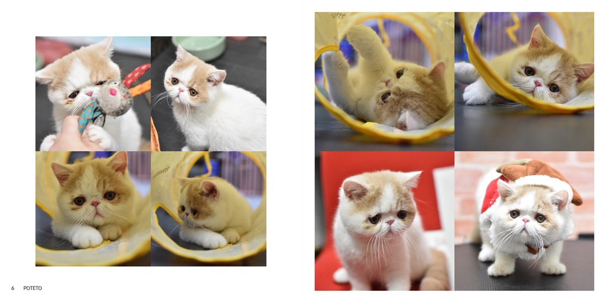 フォトブック 6ページ目