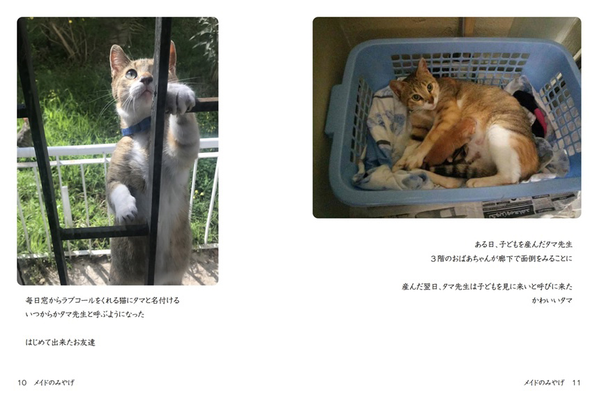 フォトブック 10ページ目
