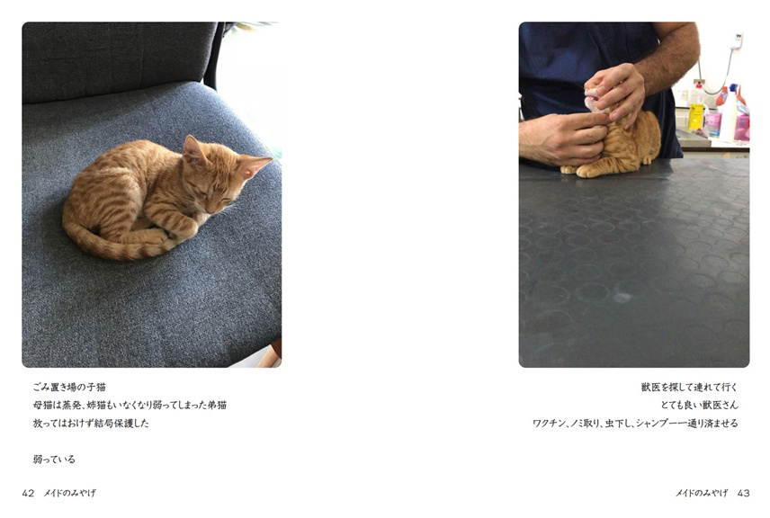 フォトブック 42ページ目