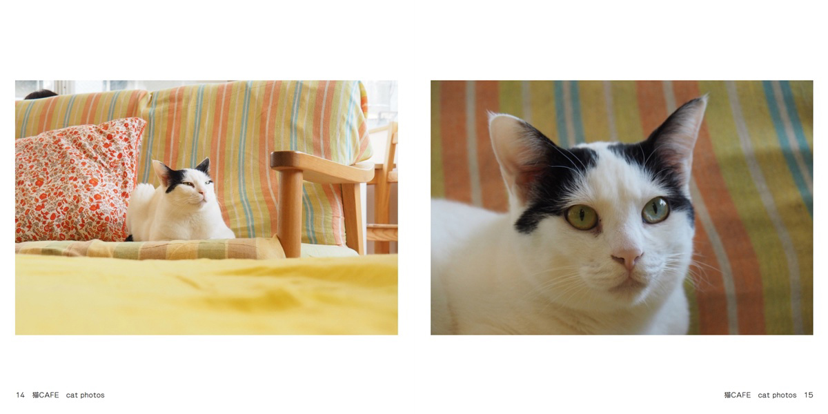 フォトブック 14ページ目