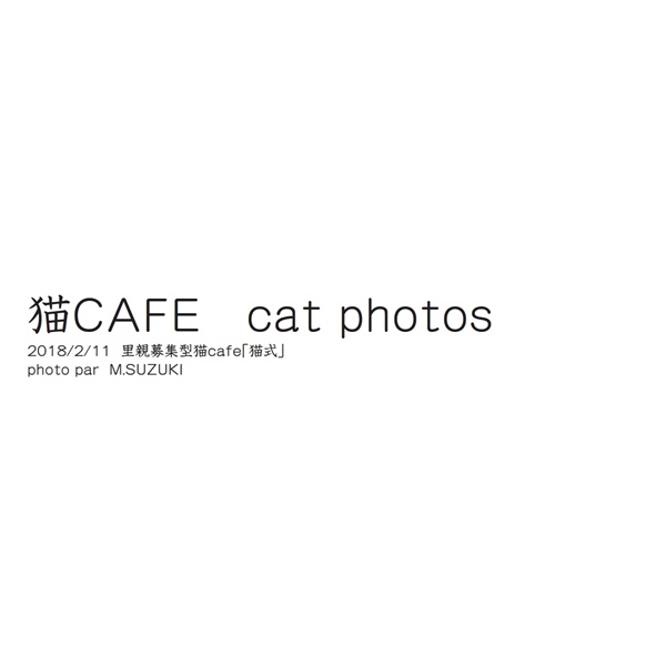 フォトブック 扉