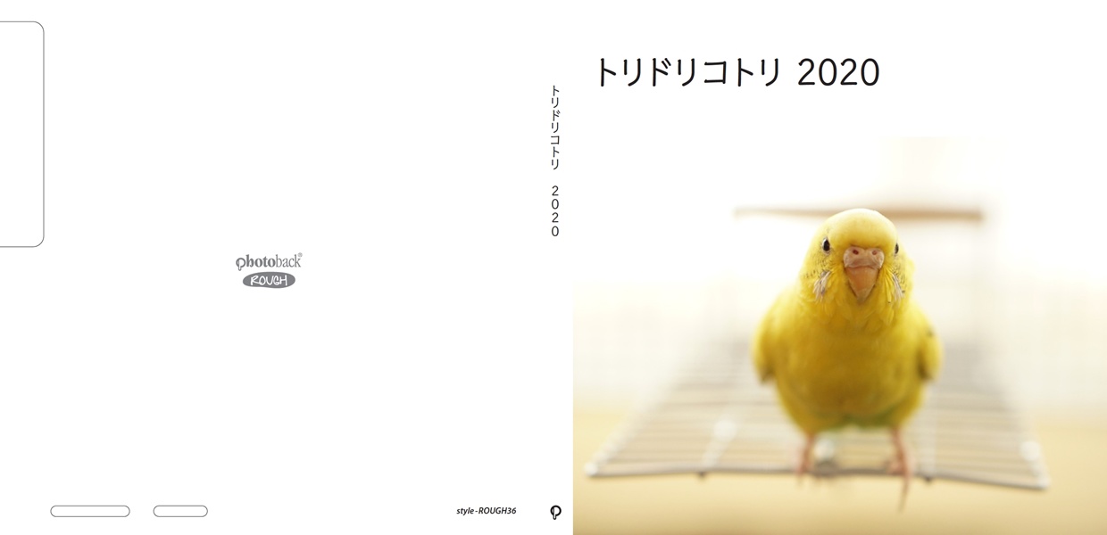 フォトブック ジャケット