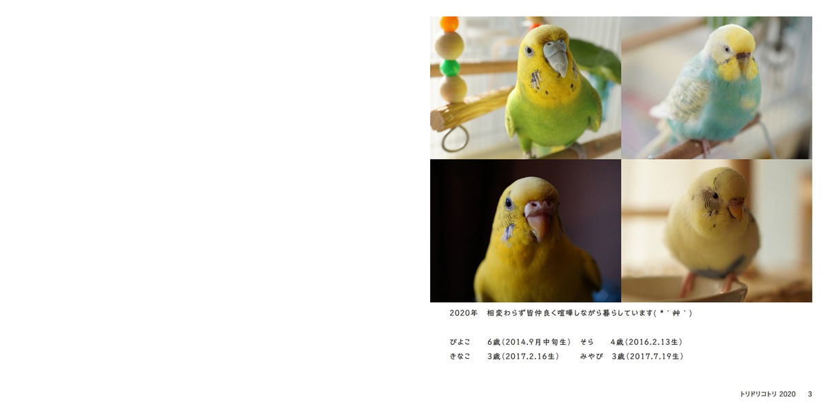 フォトブック 2ページ目
