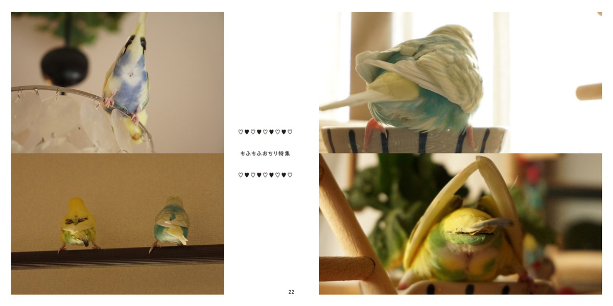フォトブック 22ページ目