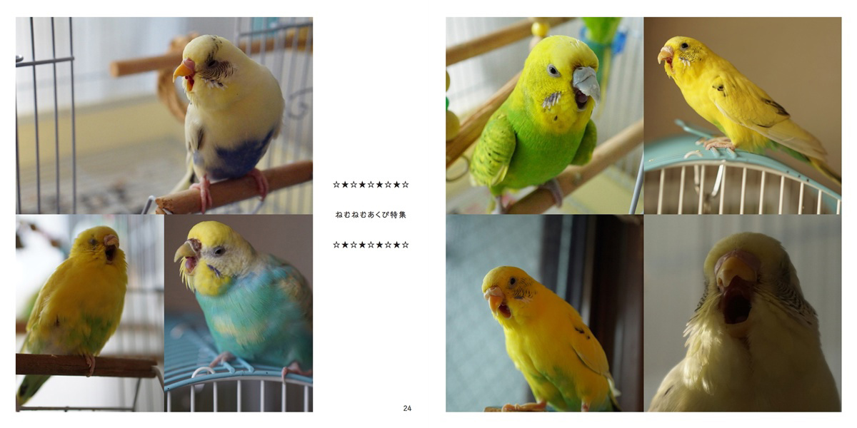 フォトブック 24ページ目