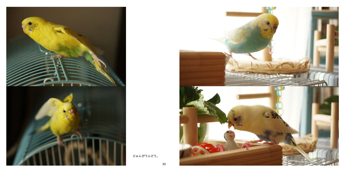 フォトブック 30ページ目