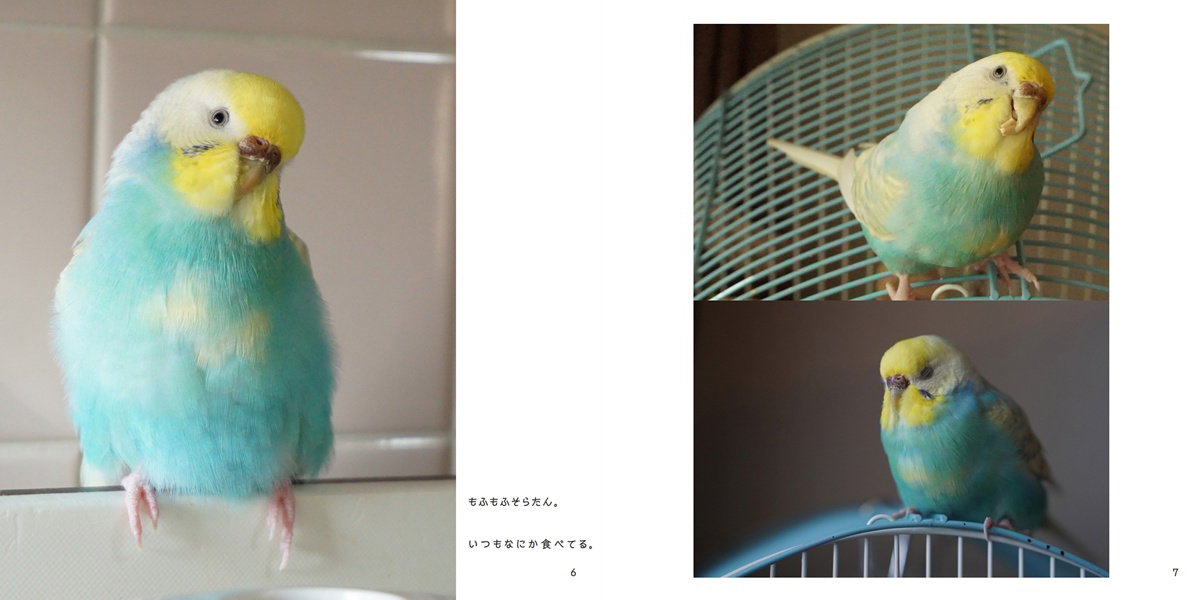 フォトブック 6ページ目