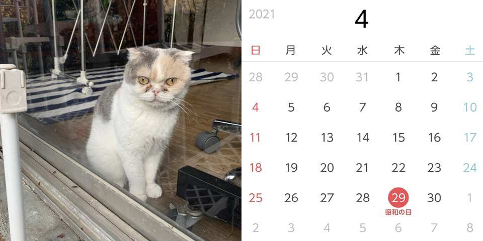 フォトブック 10ページ目