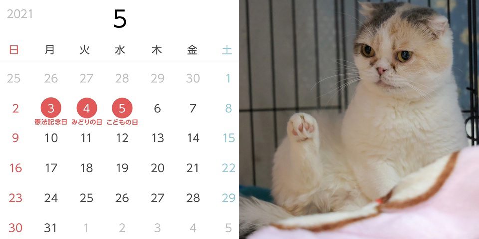 フォトブック 12ページ目