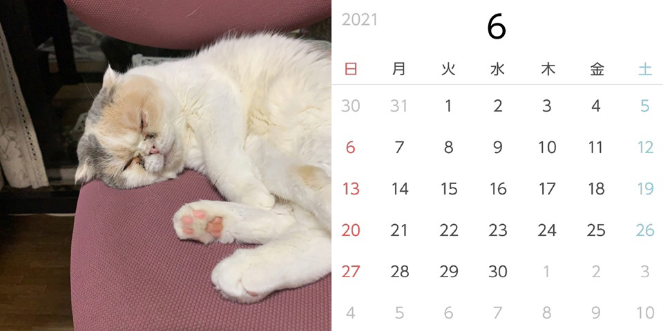 フォトブック 14ページ目
