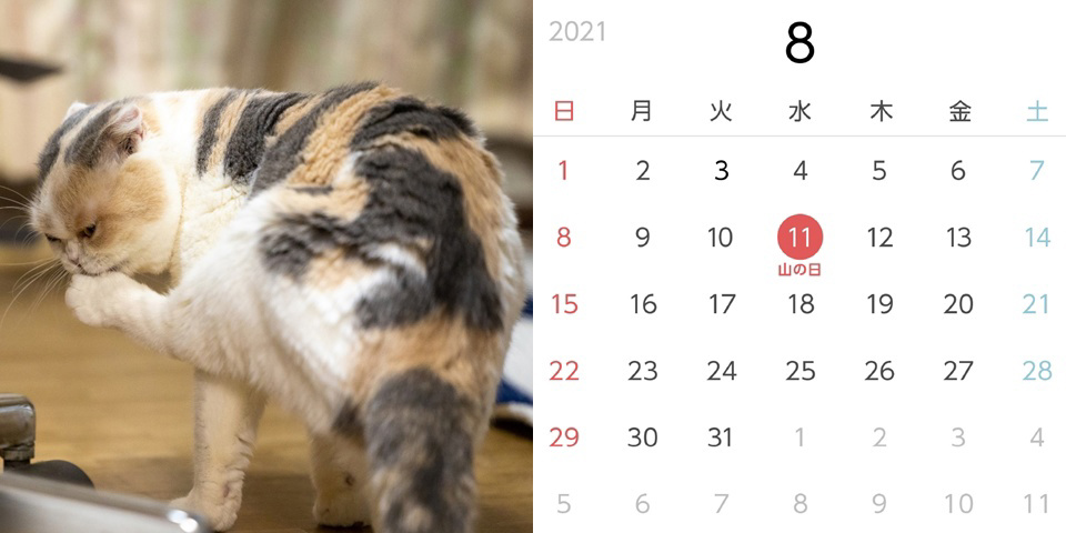 フォトブック 18ページ目