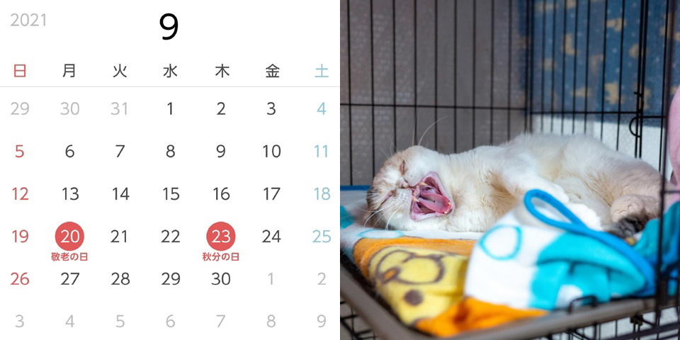 フォトブック 20ページ目